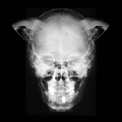 💀🔪Glitch🔞's avatar