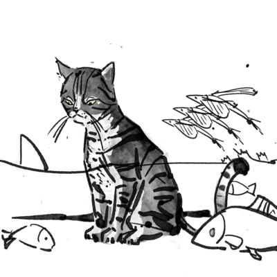 wanderingmeomeo's avatar