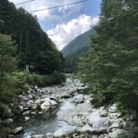 elcondor.jaja's avatar