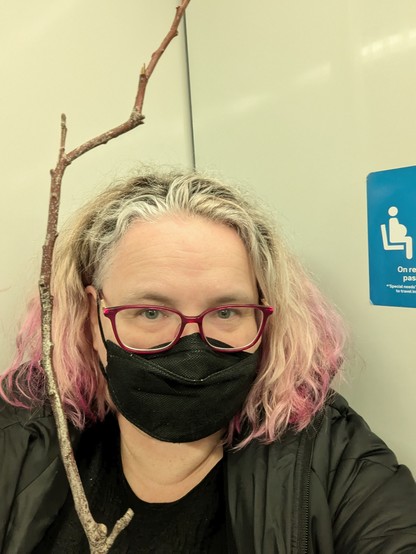 Selfie of a person on a train holding a stick. 